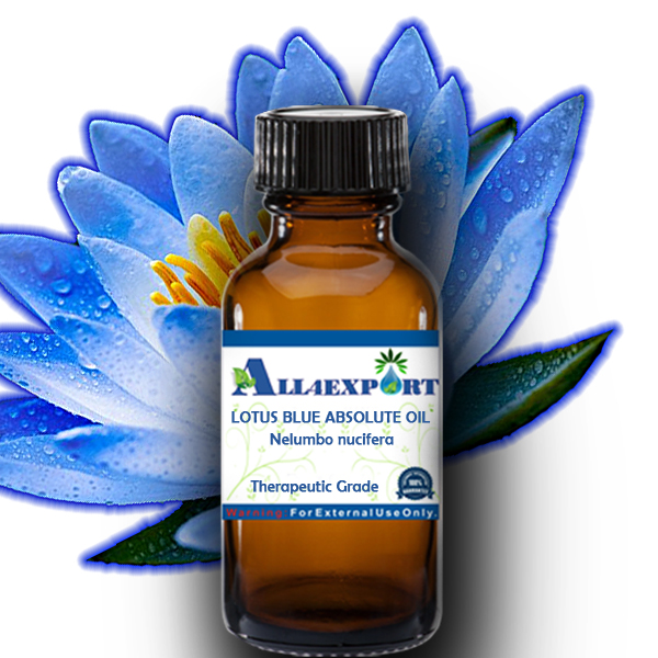 LOTUS BLUE ABSOLUTE OIL